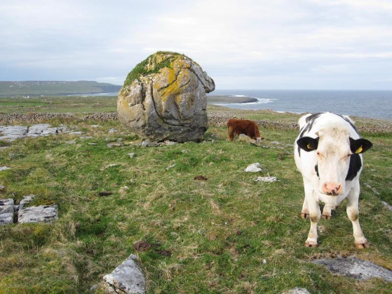 Lanelodge Doolin Exterior foto