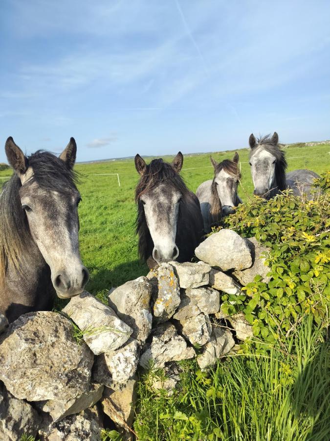 Lanelodge Doolin Exterior foto